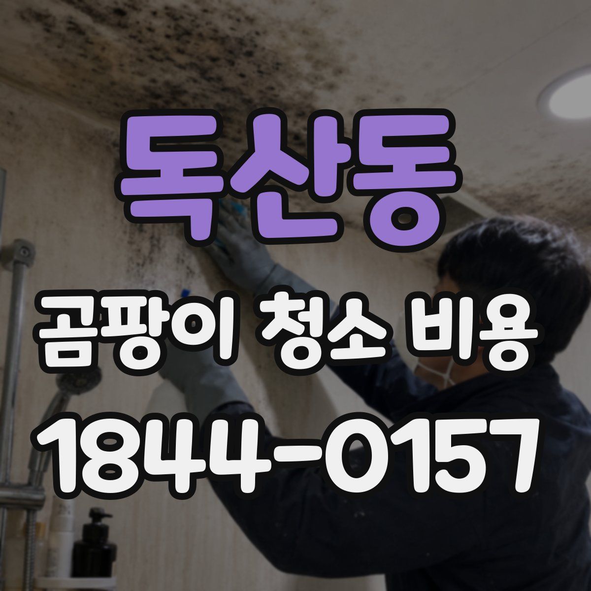 독산동 곰팡이 청소 비용