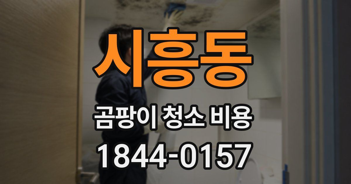 시흥동 곰팡이 청소 비용