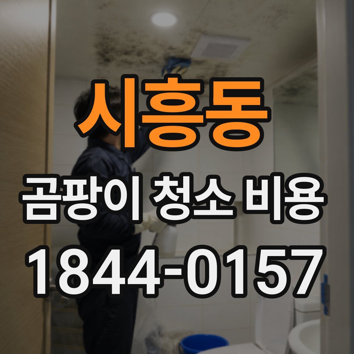 시흥동 곰팡이 청소 비용
