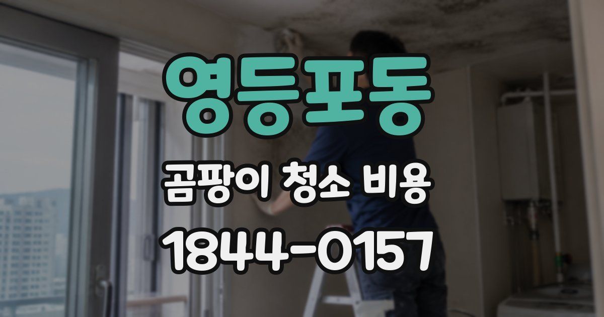 영등포동 곰팡이 청소 비용