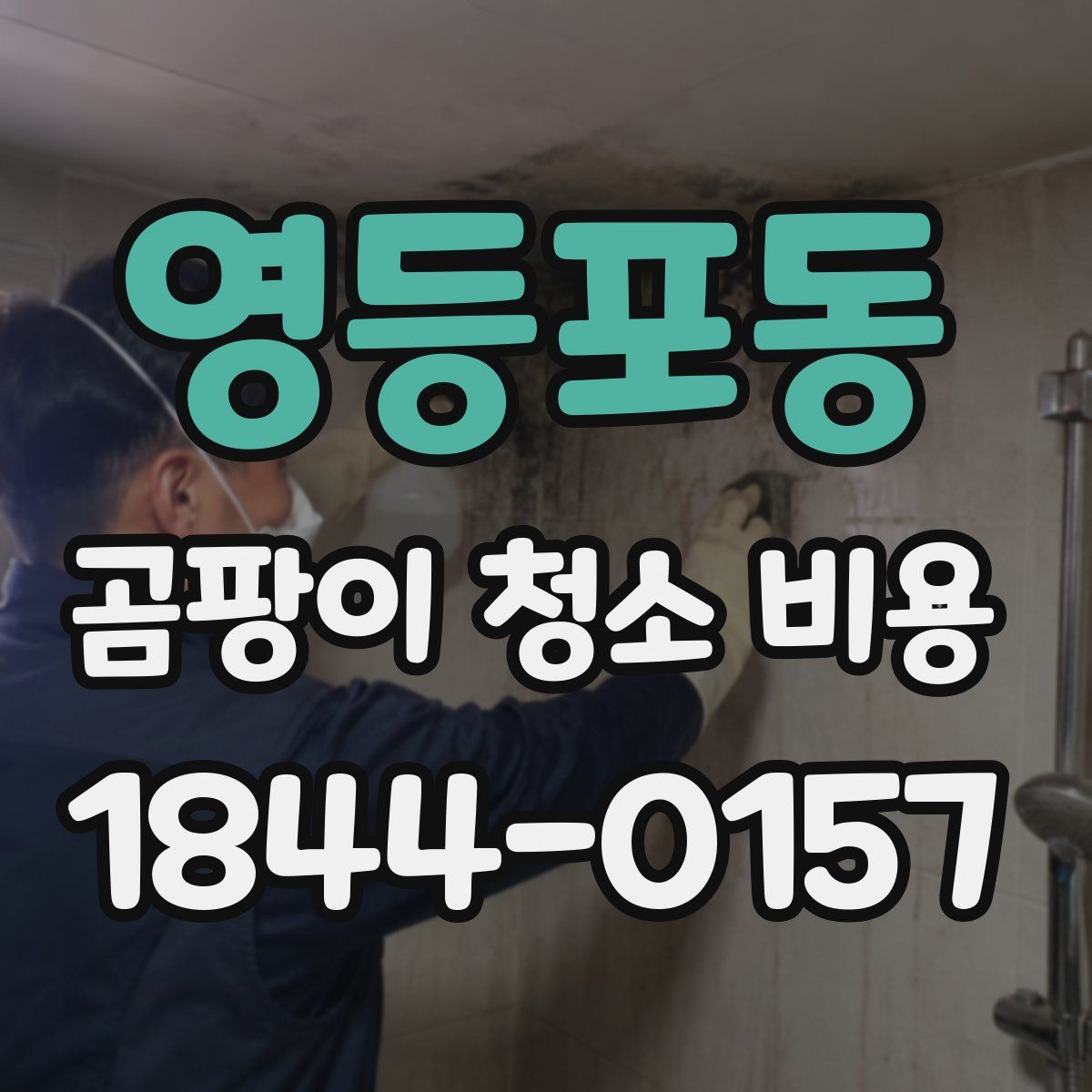 영등포동 곰팡이 청소 비용
