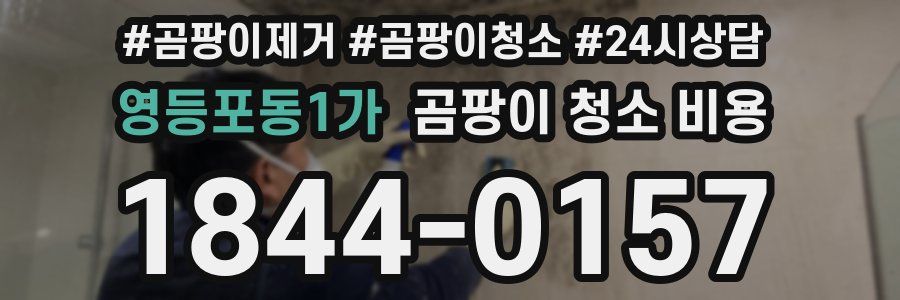 영등포동1가 곰팡이 청소 비용