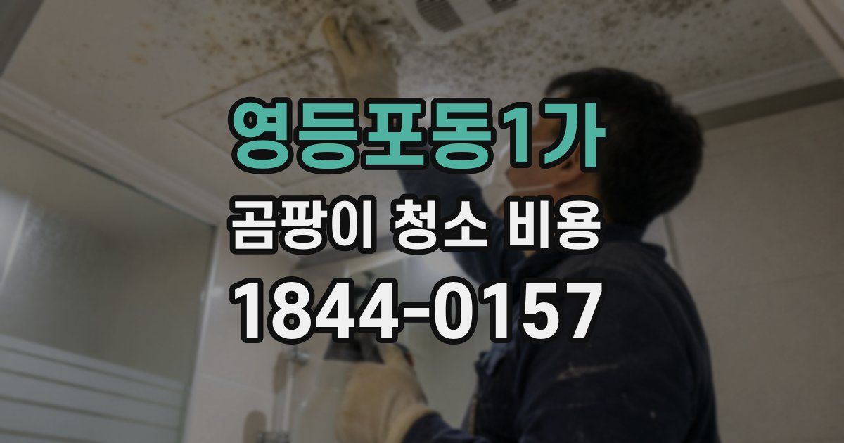 영등포동1가 곰팡이 청소 비용