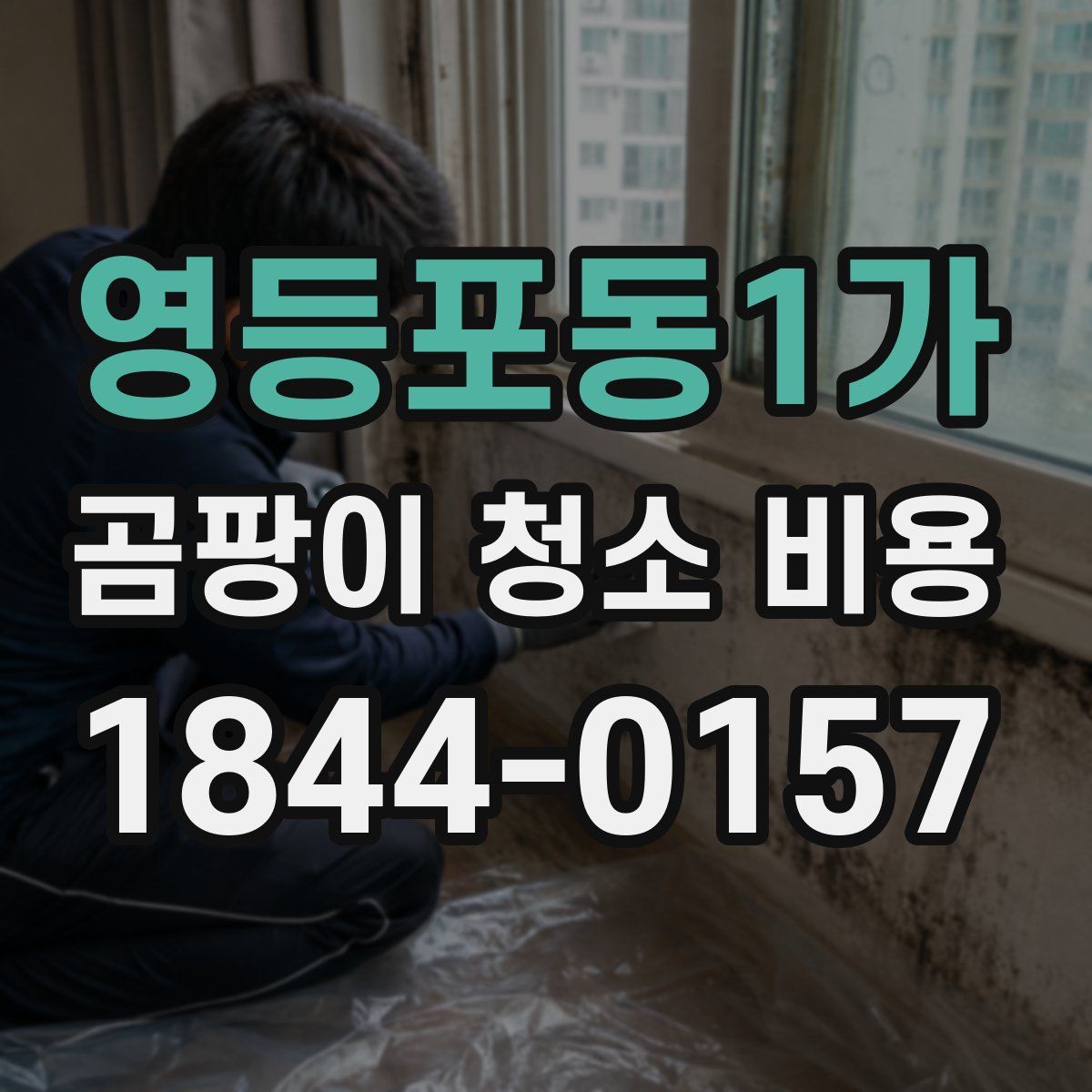 영등포동1가 곰팡이 청소 비용