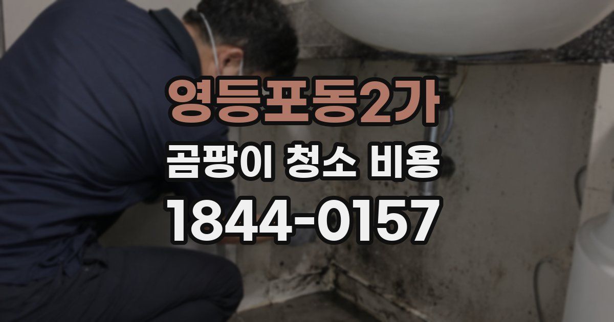 영등포동2가 곰팡이 청소 비용