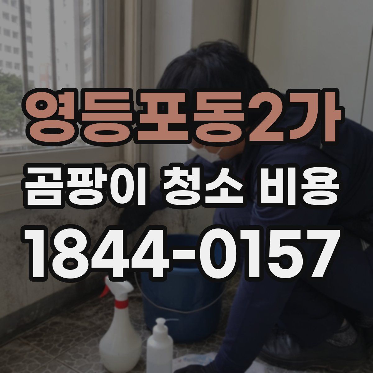 영등포동2가 곰팡이 청소 비용
