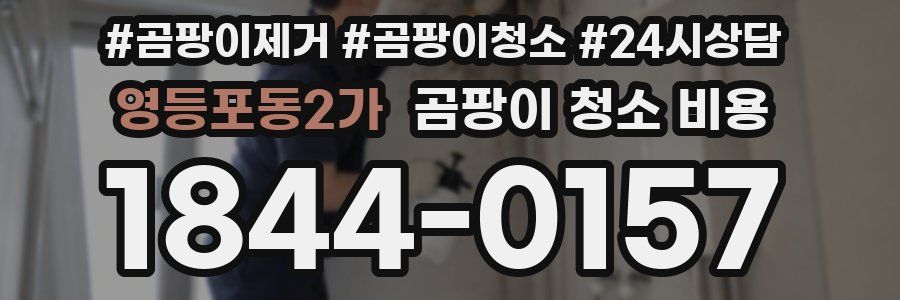 영등포동2가 곰팡이 청소 비용