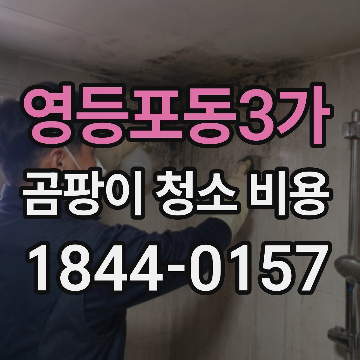 영등포동3가 곰팡이 청소 비용