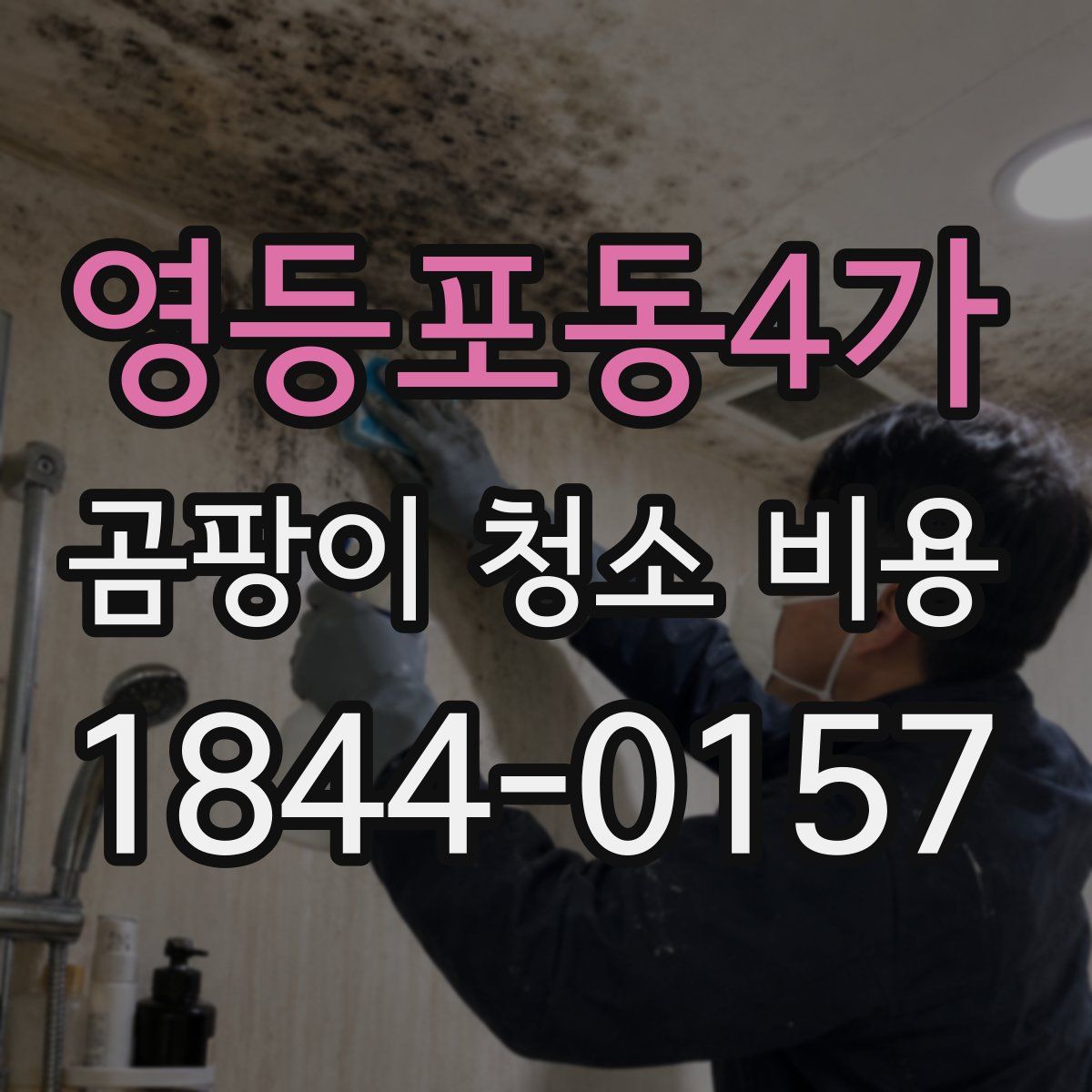 영등포동4가 곰팡이 청소 비용