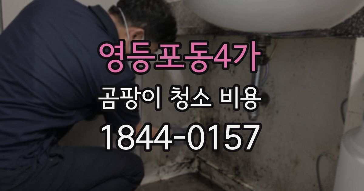 영등포동4가 곰팡이 청소 비용