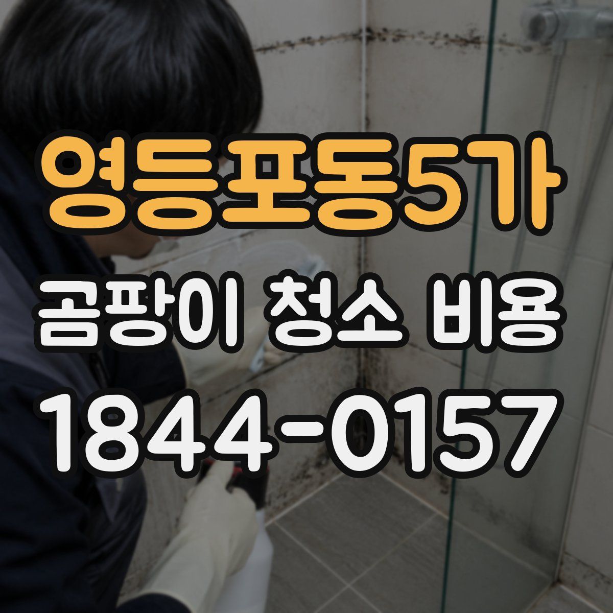 영등포동5가 곰팡이 청소 비용