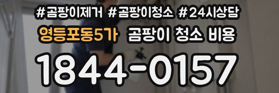 영등포동5가 곰팡이 청소 비용