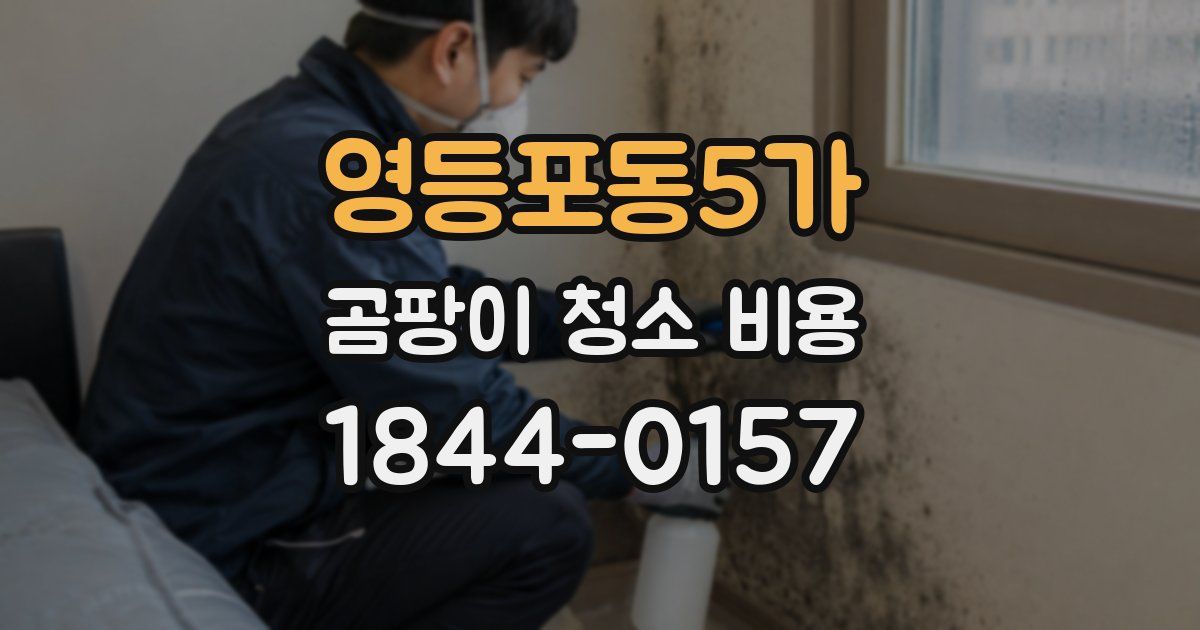 영등포동5가 곰팡이 청소 비용