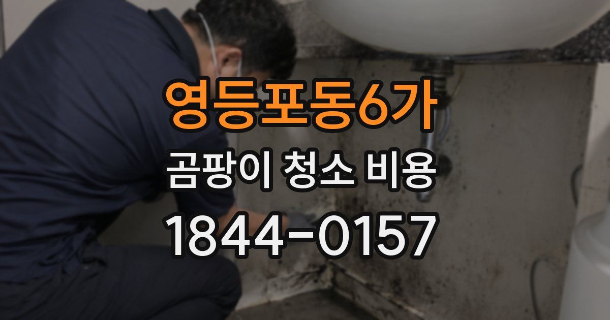 영등포동6가 곰팡이 청소 비용