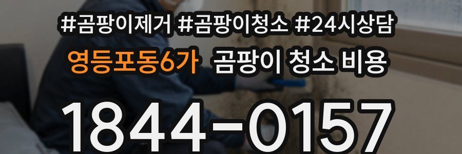 영등포동6가 곰팡이 청소 비용