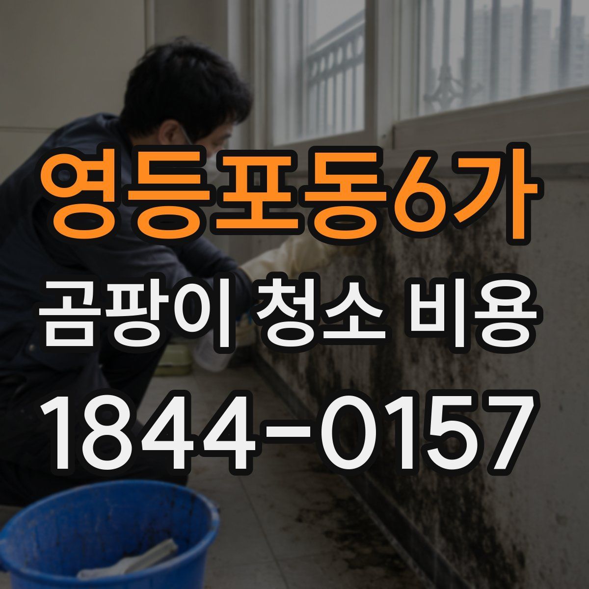 영등포동6가 곰팡이 청소 비용