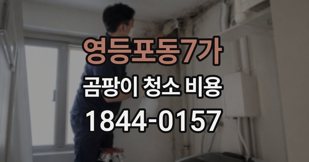 영등포동7가 곰팡이 청소 비용