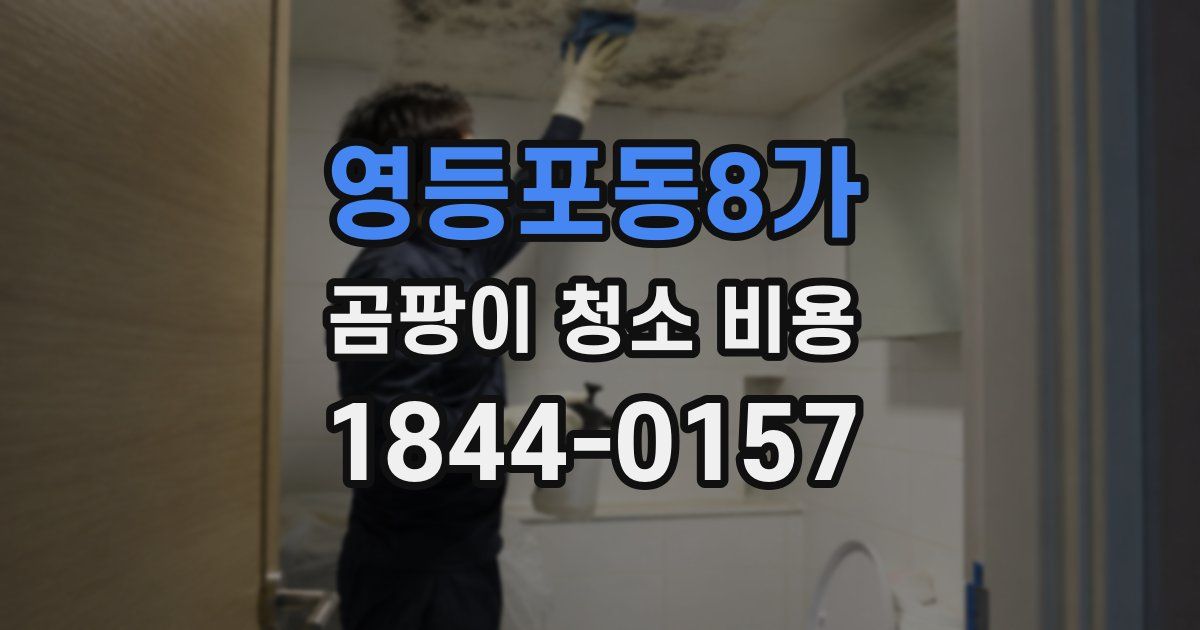 영등포동8가 곰팡이 청소 비용