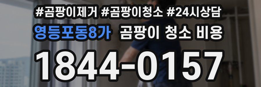 영등포동8가 곰팡이 청소 비용