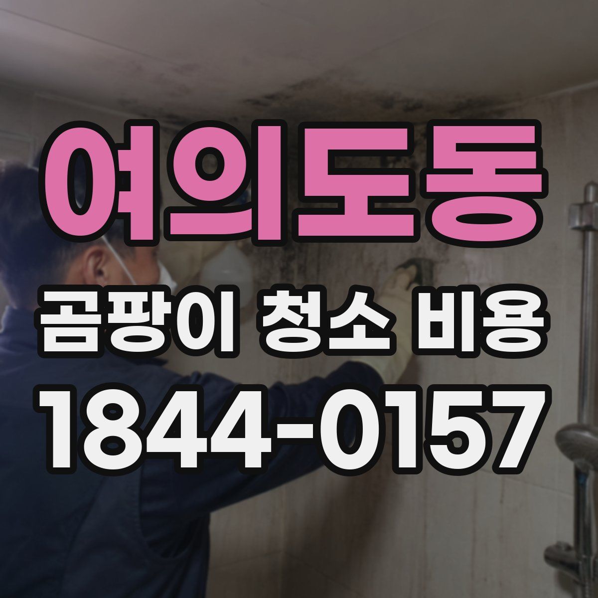 여의도동 곰팡이 청소 비용