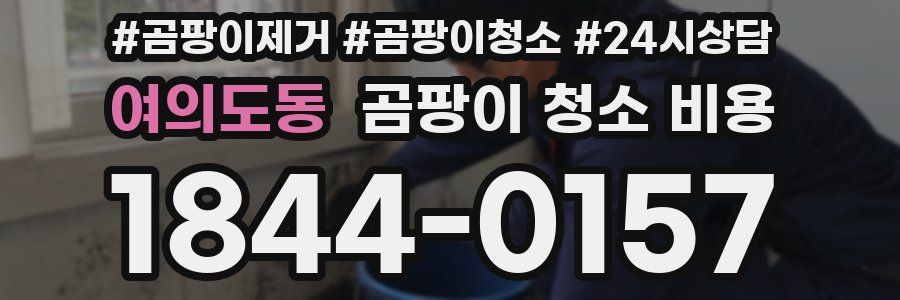 여의도동 곰팡이 청소 비용