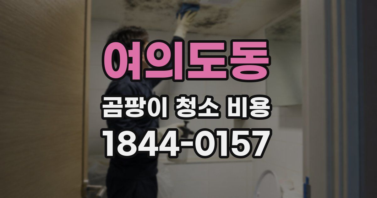 여의도동 곰팡이 청소 비용