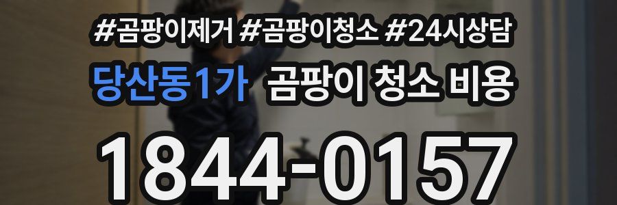 당산동1가 곰팡이 청소 비용