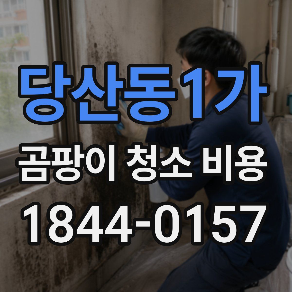 당산동1가 곰팡이 청소 비용