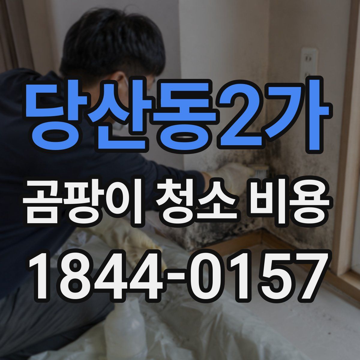 당산동2가 곰팡이 청소 비용