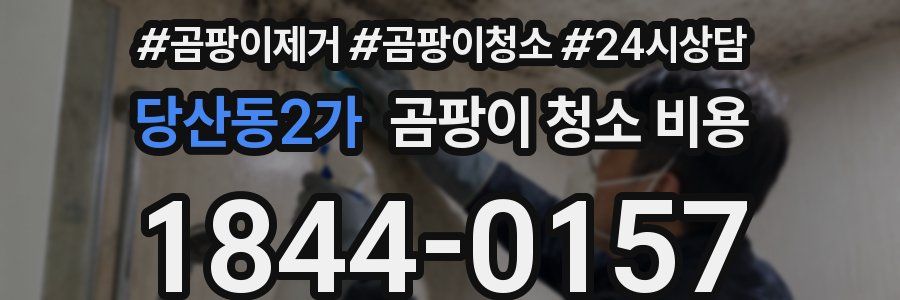당산동2가 곰팡이 청소 비용