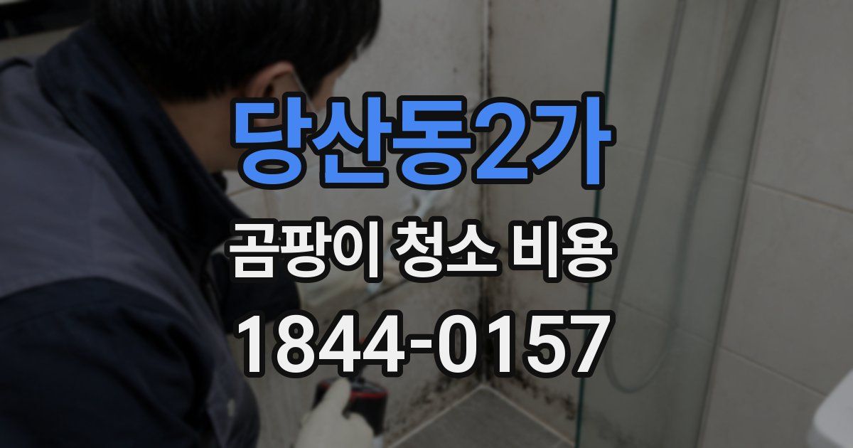 당산동2가 곰팡이 청소 비용