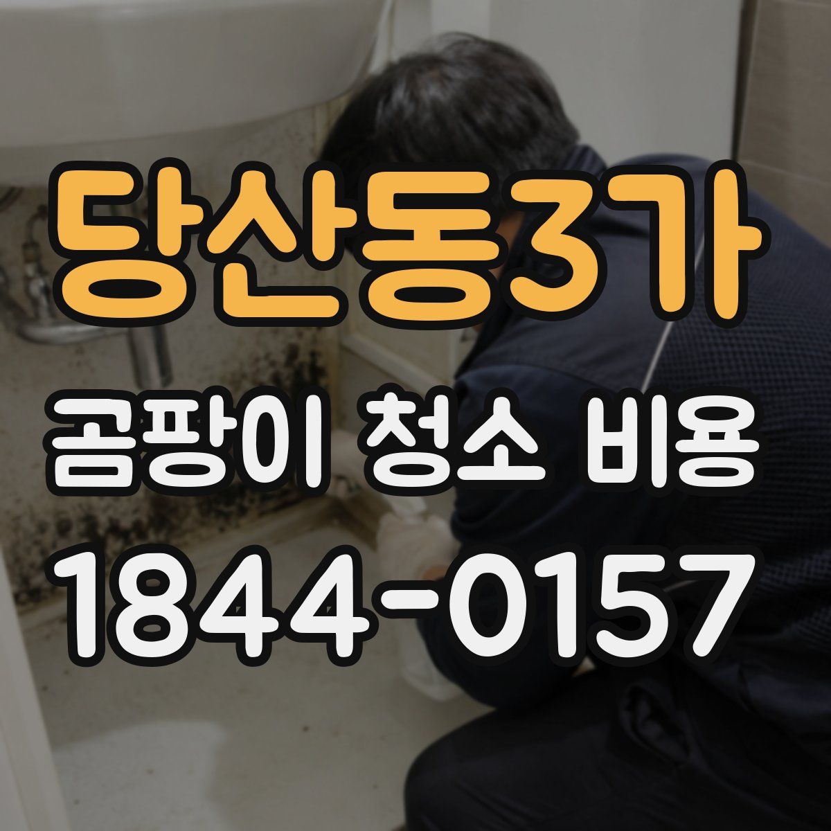 당산동3가 곰팡이 청소 비용