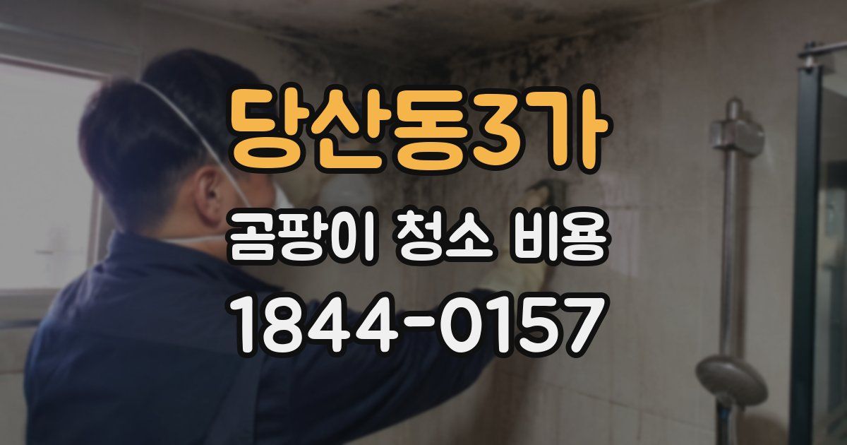 당산동3가 곰팡이 청소 비용