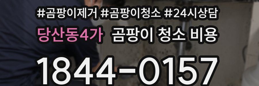 당산동4가 곰팡이 청소 비용