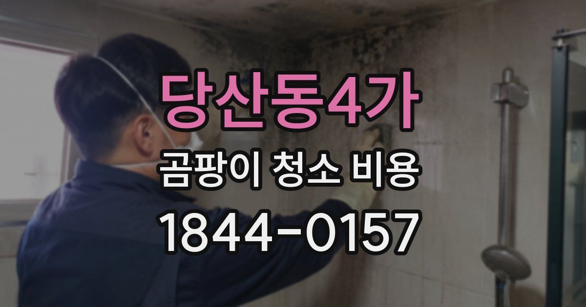 당산동4가 곰팡이 청소 비용