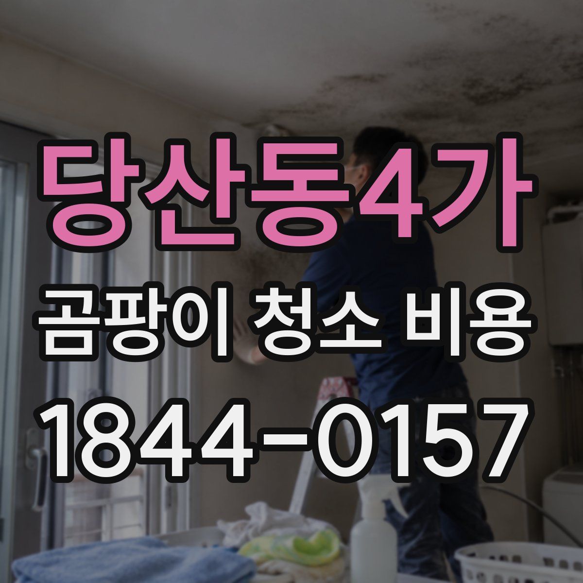 당산동4가 곰팡이 청소 비용