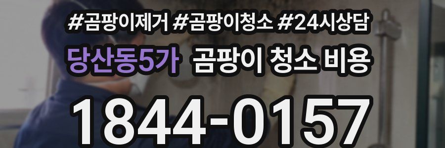 당산동5가 곰팡이 청소 비용
