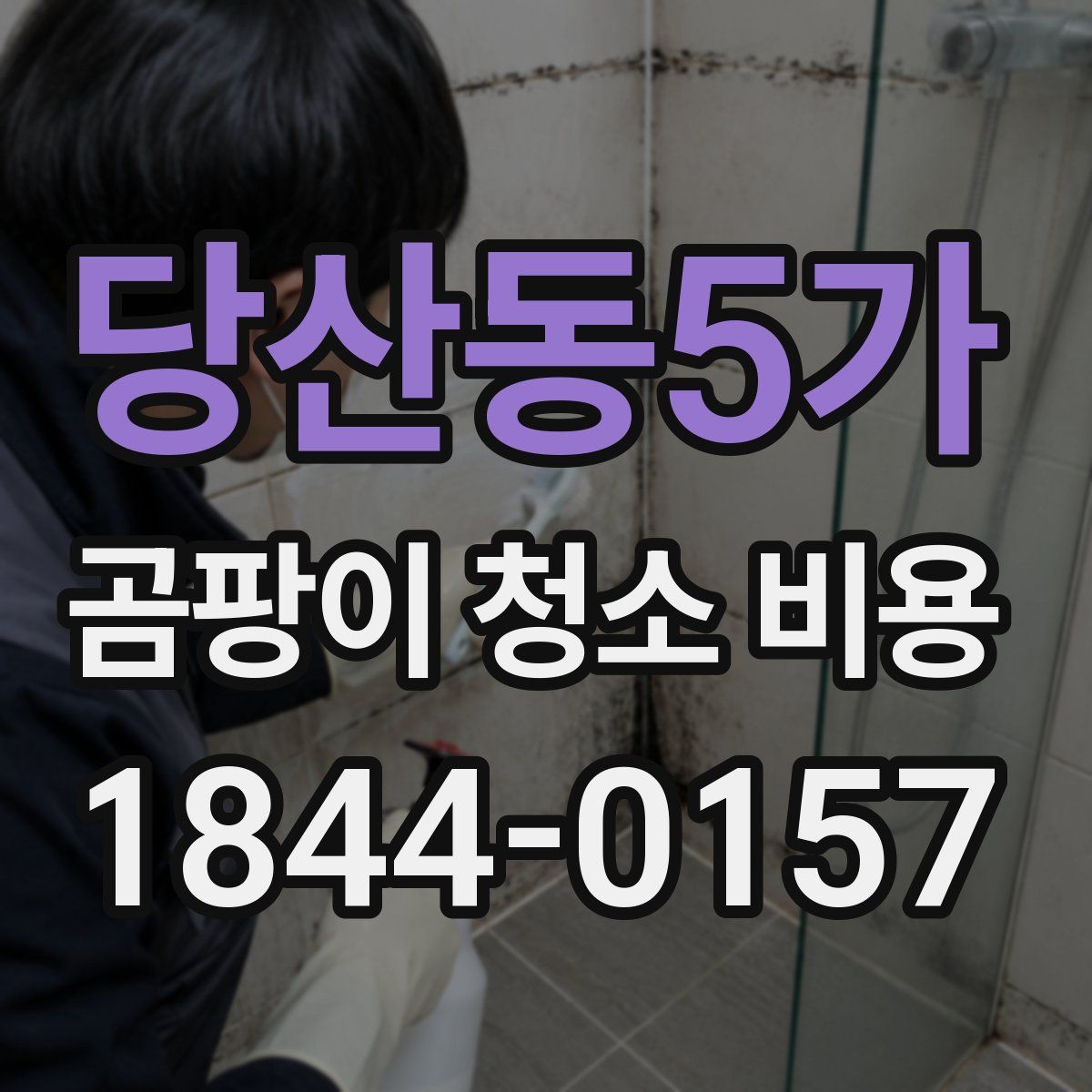 당산동5가 곰팡이 청소 비용