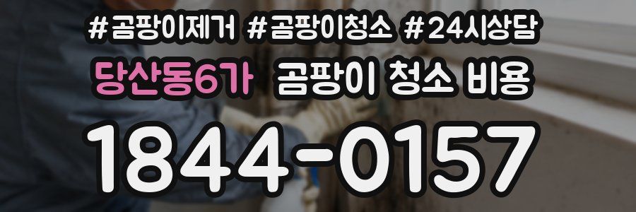당산동6가 곰팡이 청소 비용