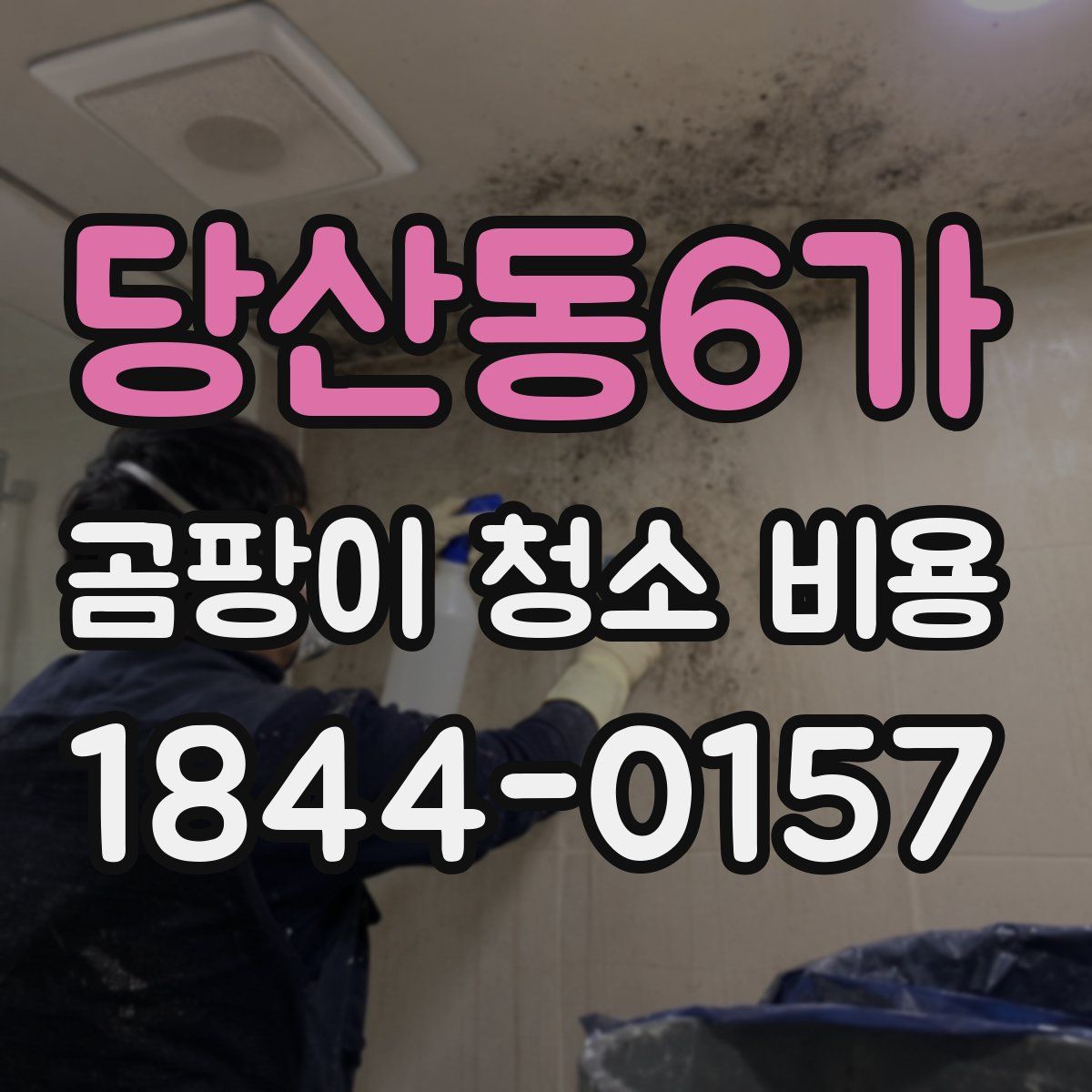 당산동6가 곰팡이 청소 비용