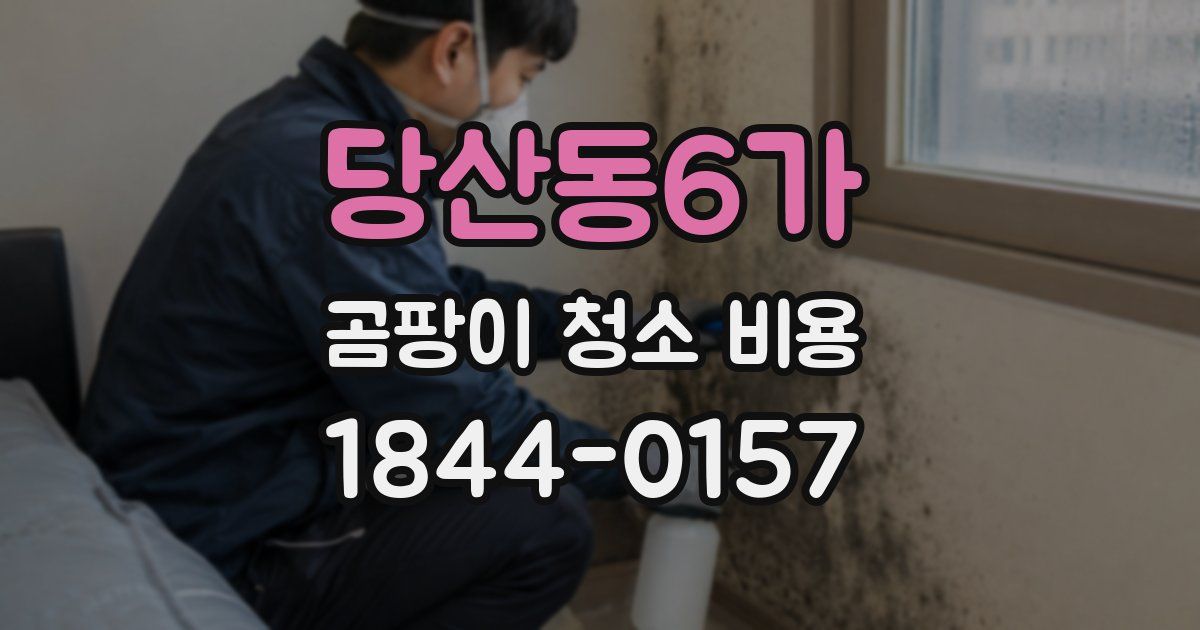 당산동6가 곰팡이 청소 비용