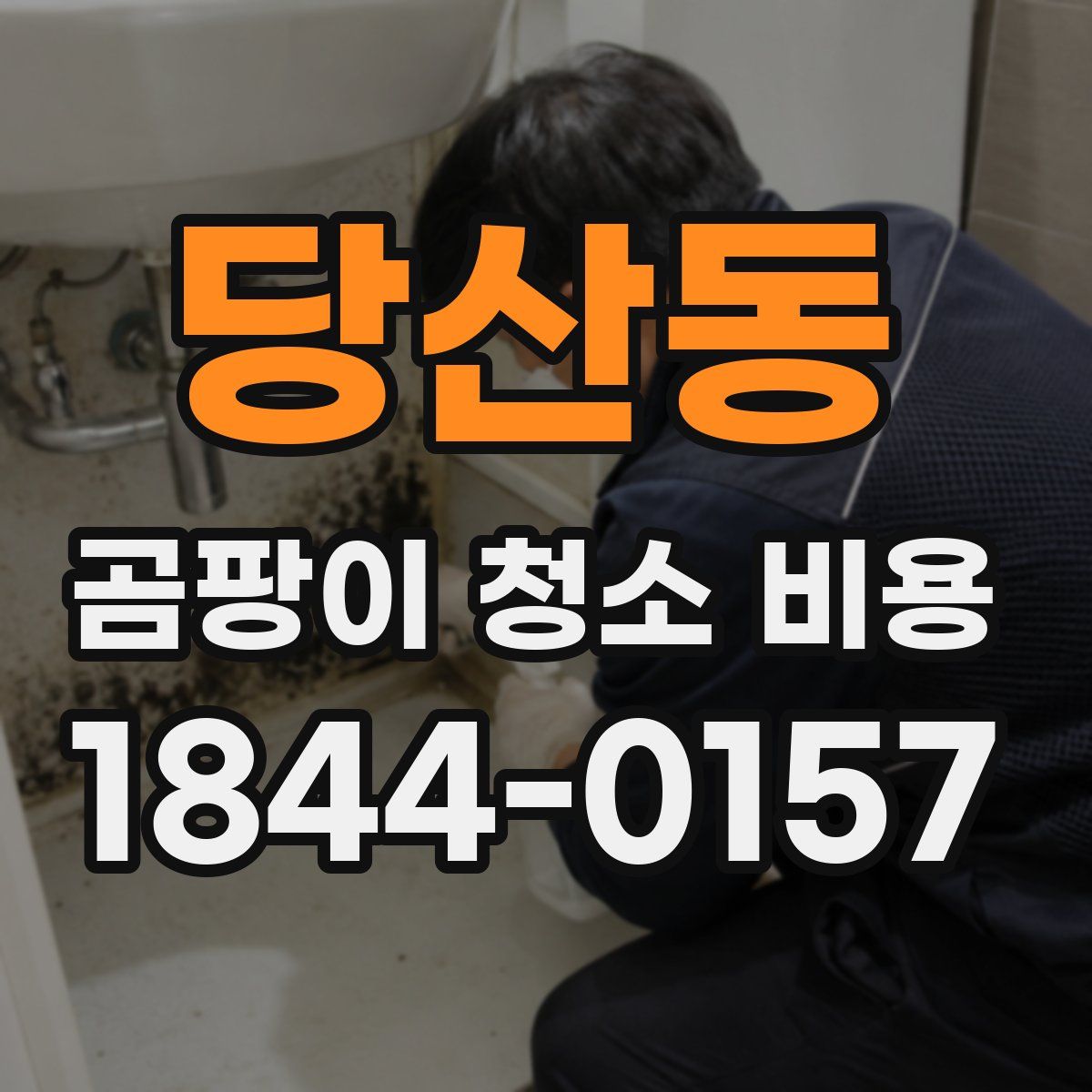 당산동 곰팡이 청소 비용