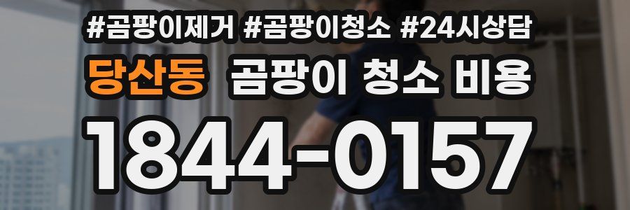 당산동 곰팡이 청소 비용