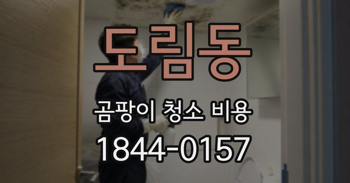 도림동 곰팡이 청소 비용