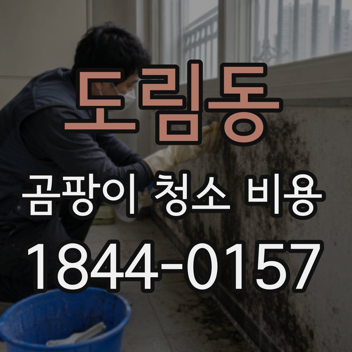 도림동 곰팡이 청소 비용