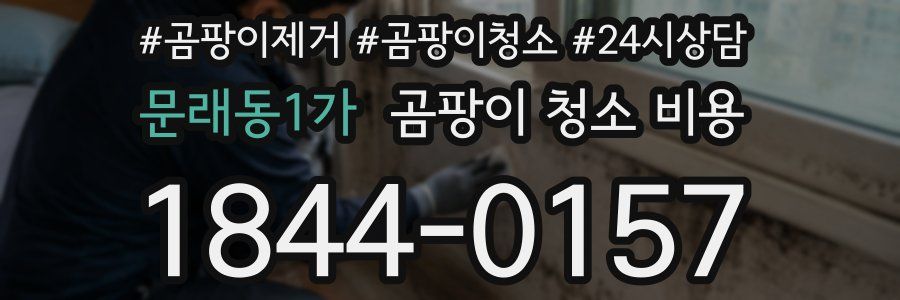 문래동1가 곰팡이 청소 비용