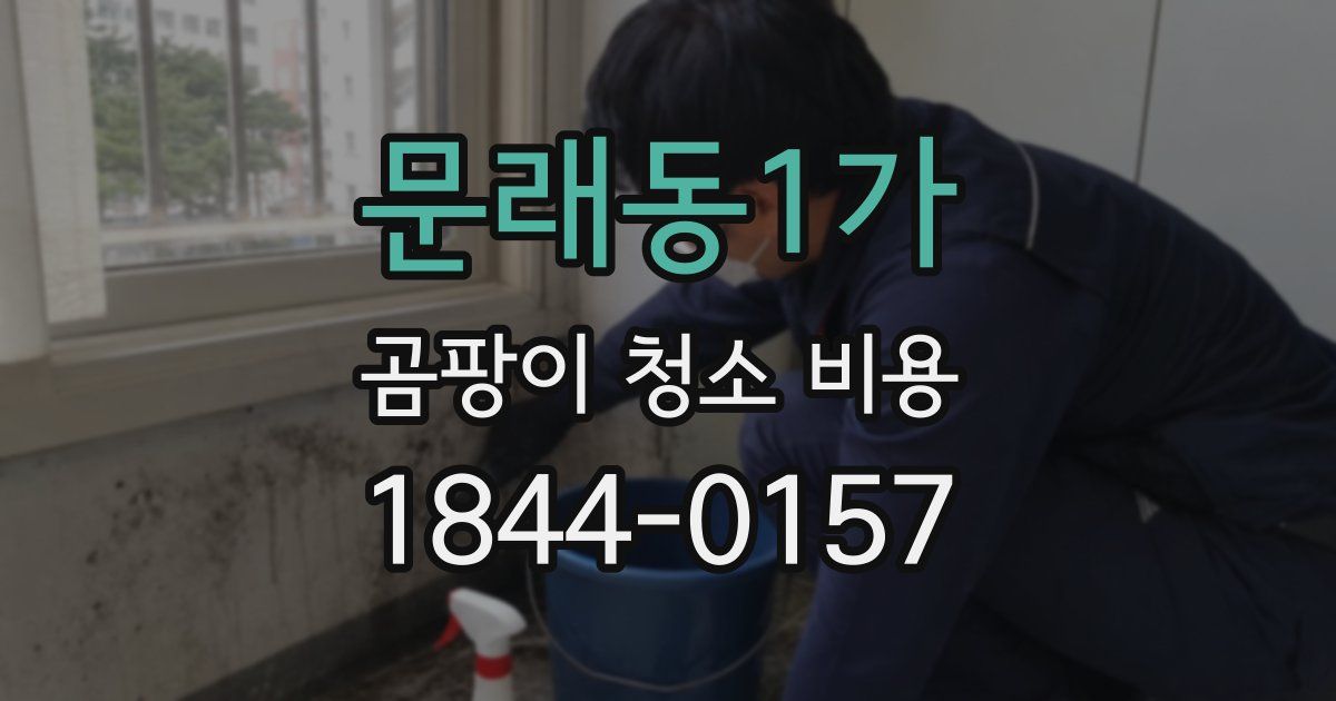 문래동1가 곰팡이 청소 비용