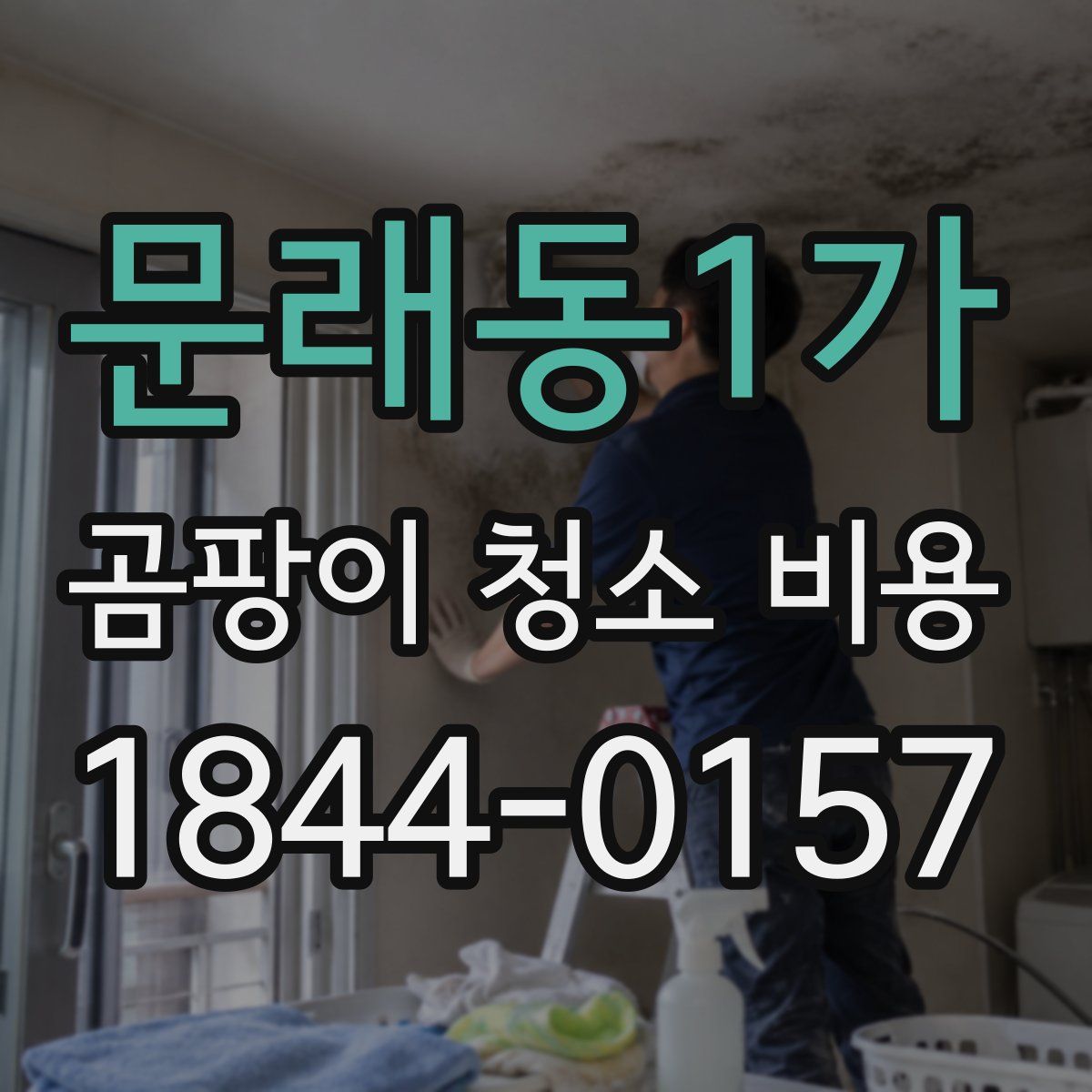 문래동1가 곰팡이 청소 비용