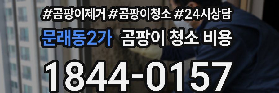 문래동2가 곰팡이 청소 비용