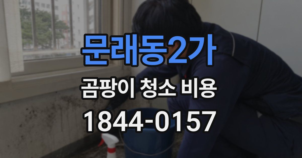 문래동2가 곰팡이 청소 비용